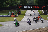 brands-hatch-photographs;brands-no-limits-trackday;cadwell-trackday-photographs;enduro-digital-images;event-digital-images;eventdigitalimages;no-limits-trackdays;peter-wileman-photography;racing-digital-images;trackday-digital-images;trackday-photos